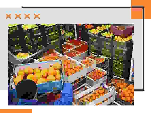 Перевозка скоропортящихся продуктов в ессентуках